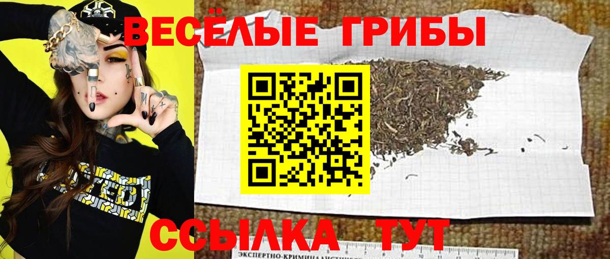 Галлюциногенные грибы ЛСД  Вход с VPN  наркотики  Наро-Фоминск 